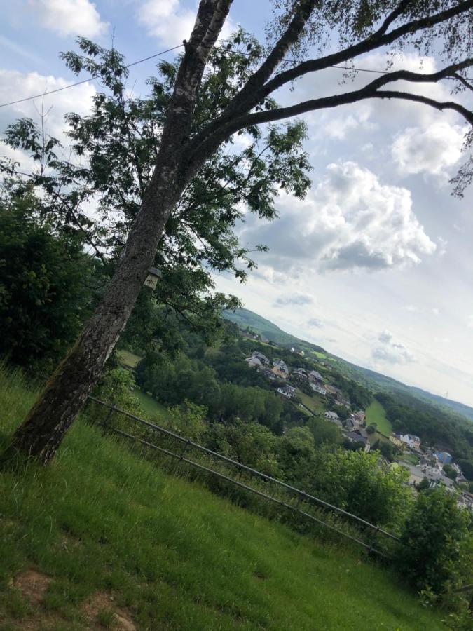 Ardenne View Villa Wilwerwiltz Buitenkant foto