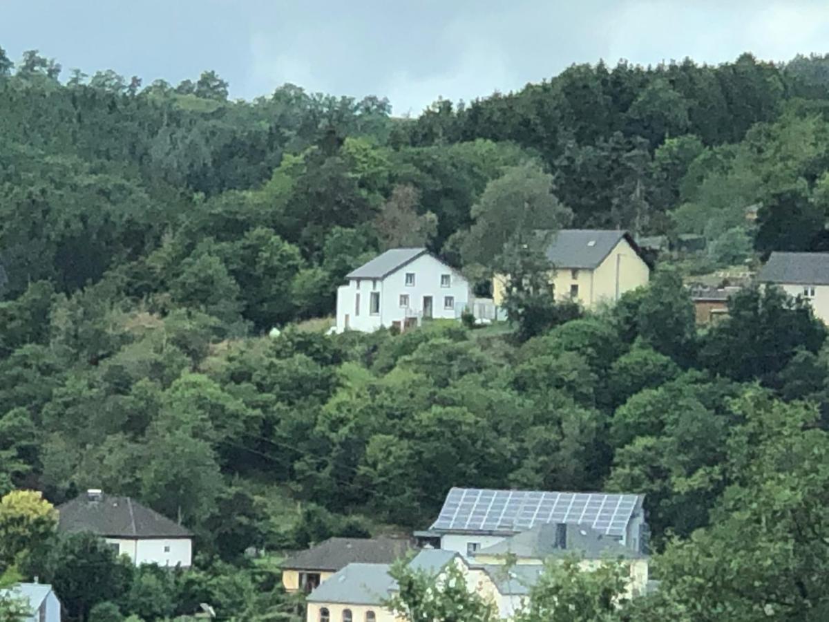 Ardenne View Villa Wilwerwiltz Buitenkant foto