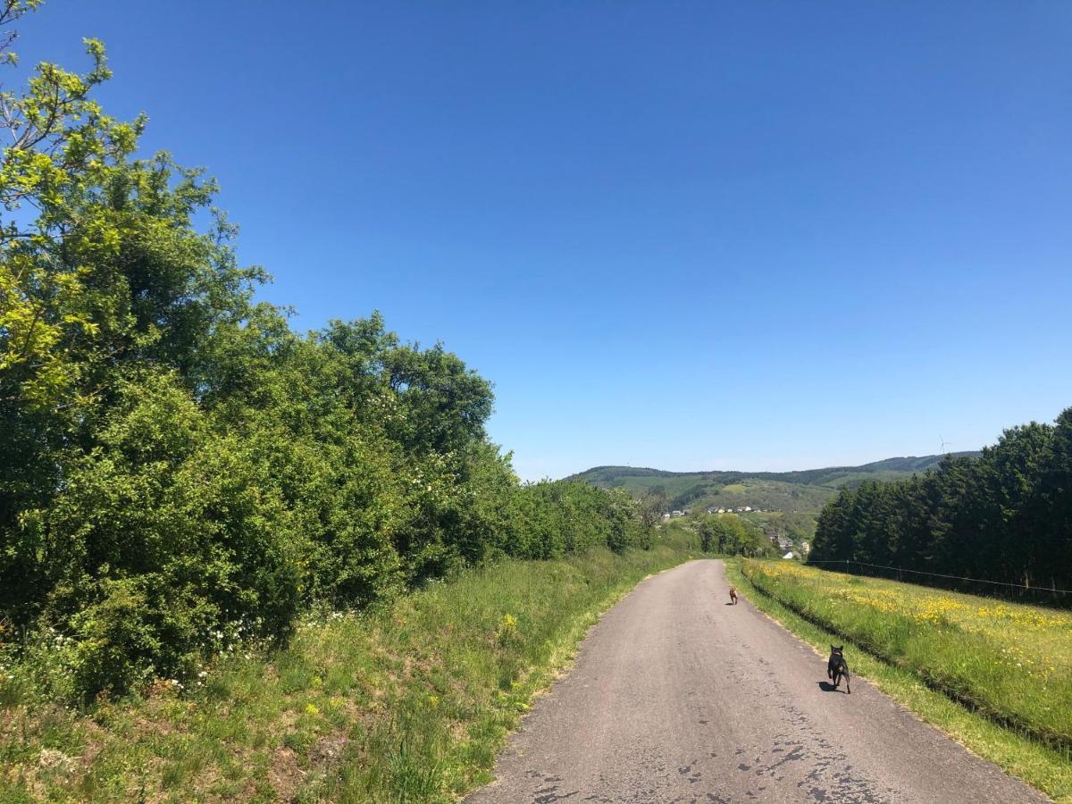Ardenne View Villa Wilwerwiltz Buitenkant foto